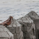 jodie jee design - photography_20